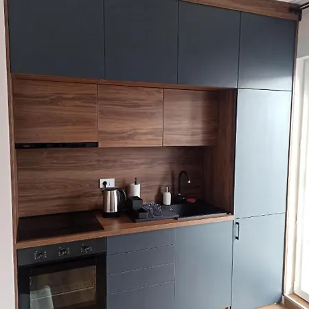 I&n Apartment Zlatibor